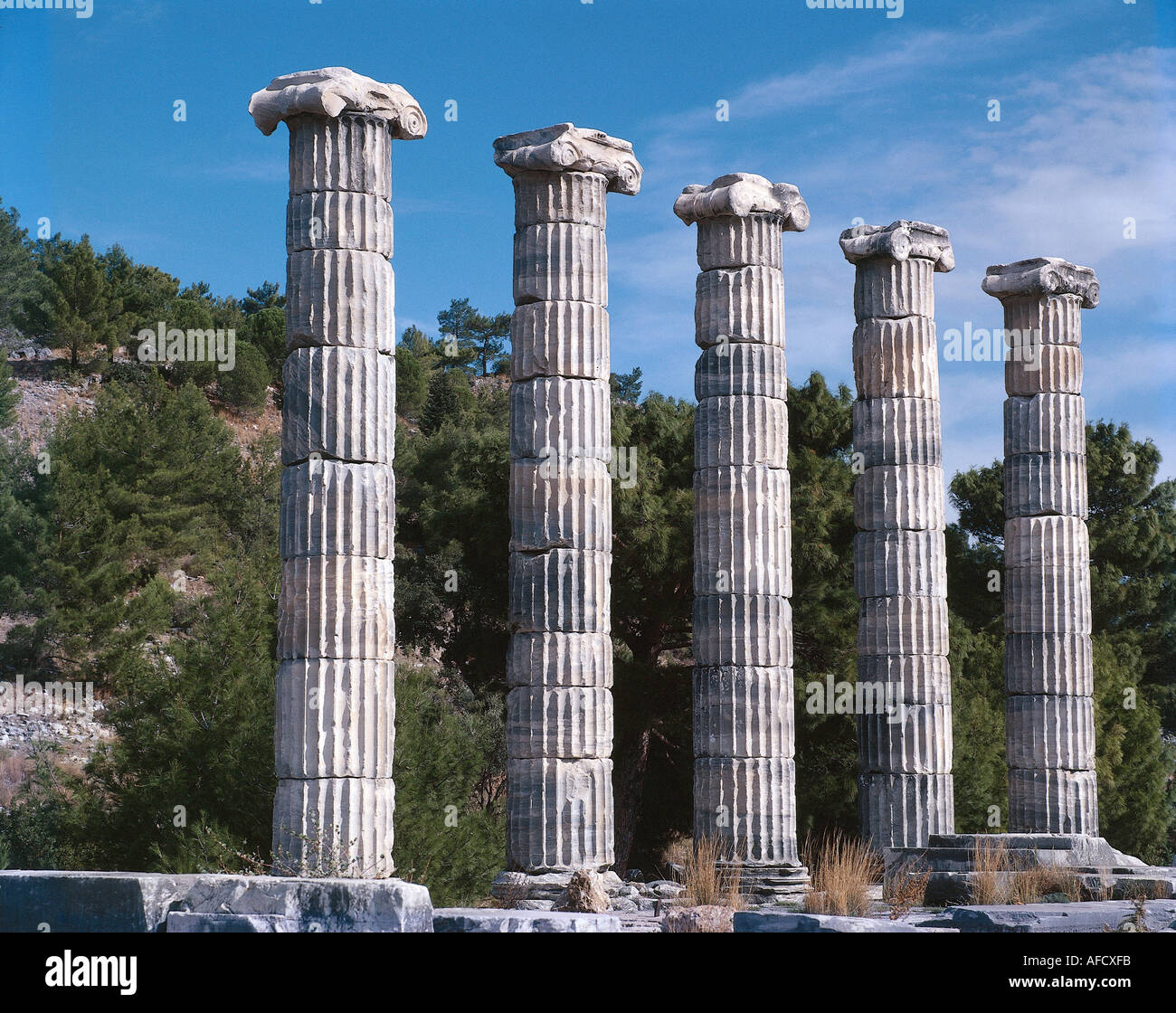 334 steps hi-res stock photography and images - Alamy