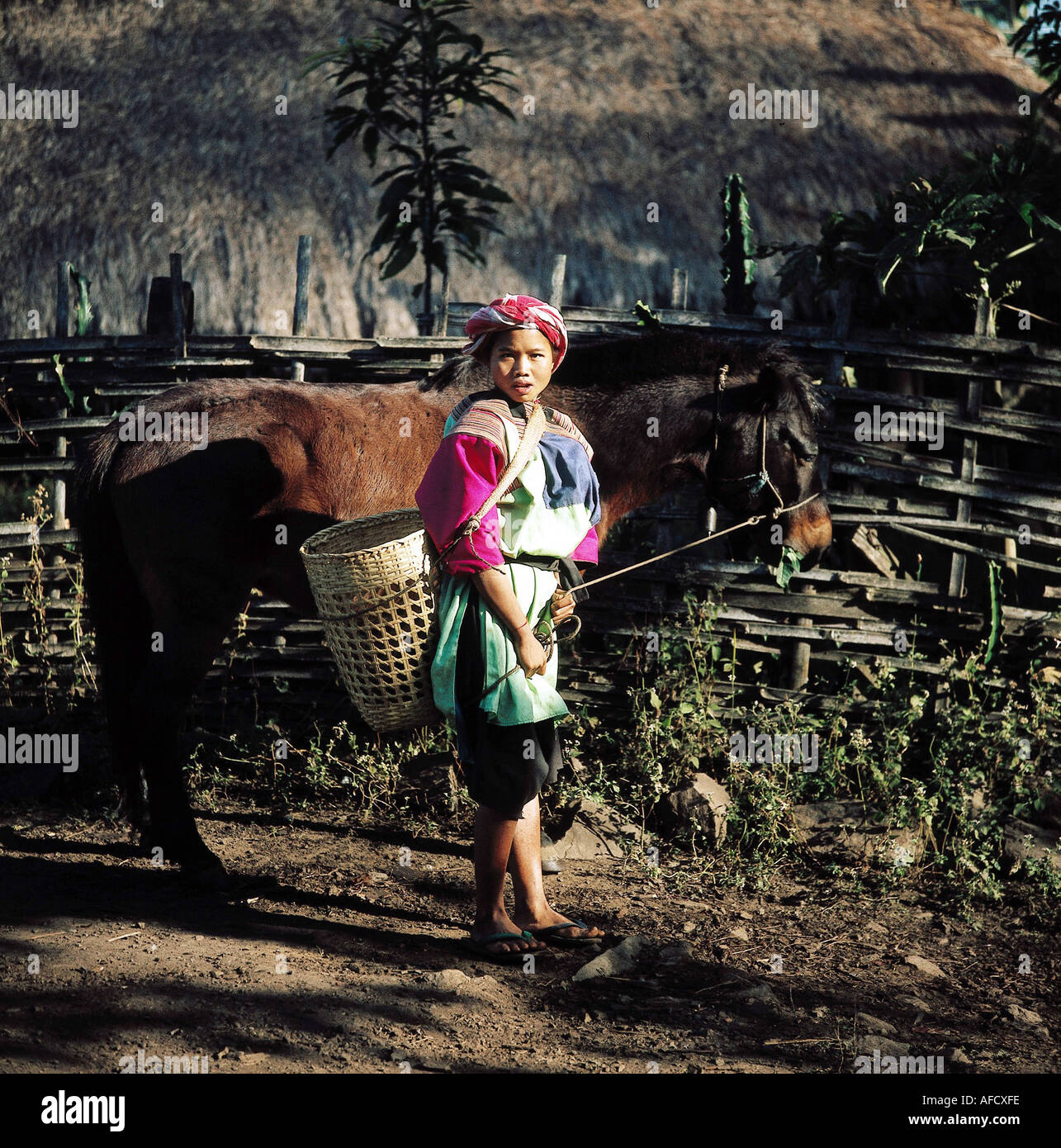 Geografie, Thailand, Menschen, junge Lissu - Frau mit Pferd und Tragekorb, Ganzfigur, Einheimische, Tier, Stock Photo
