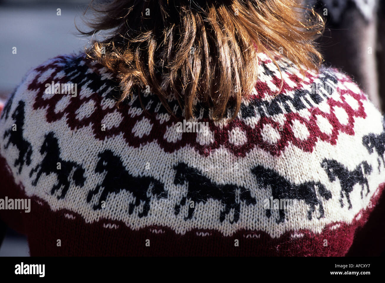 Icelandic Horse Sweater, Isafj?rdur, Iceland Stock Photo - Alamy