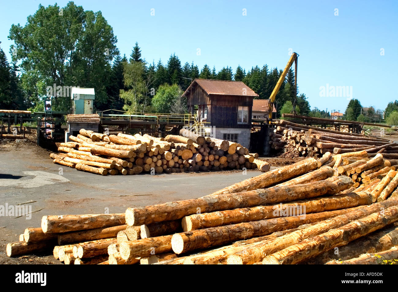 Saw mill Timber Wood woodsawyer lumber lumberjack wood log timber