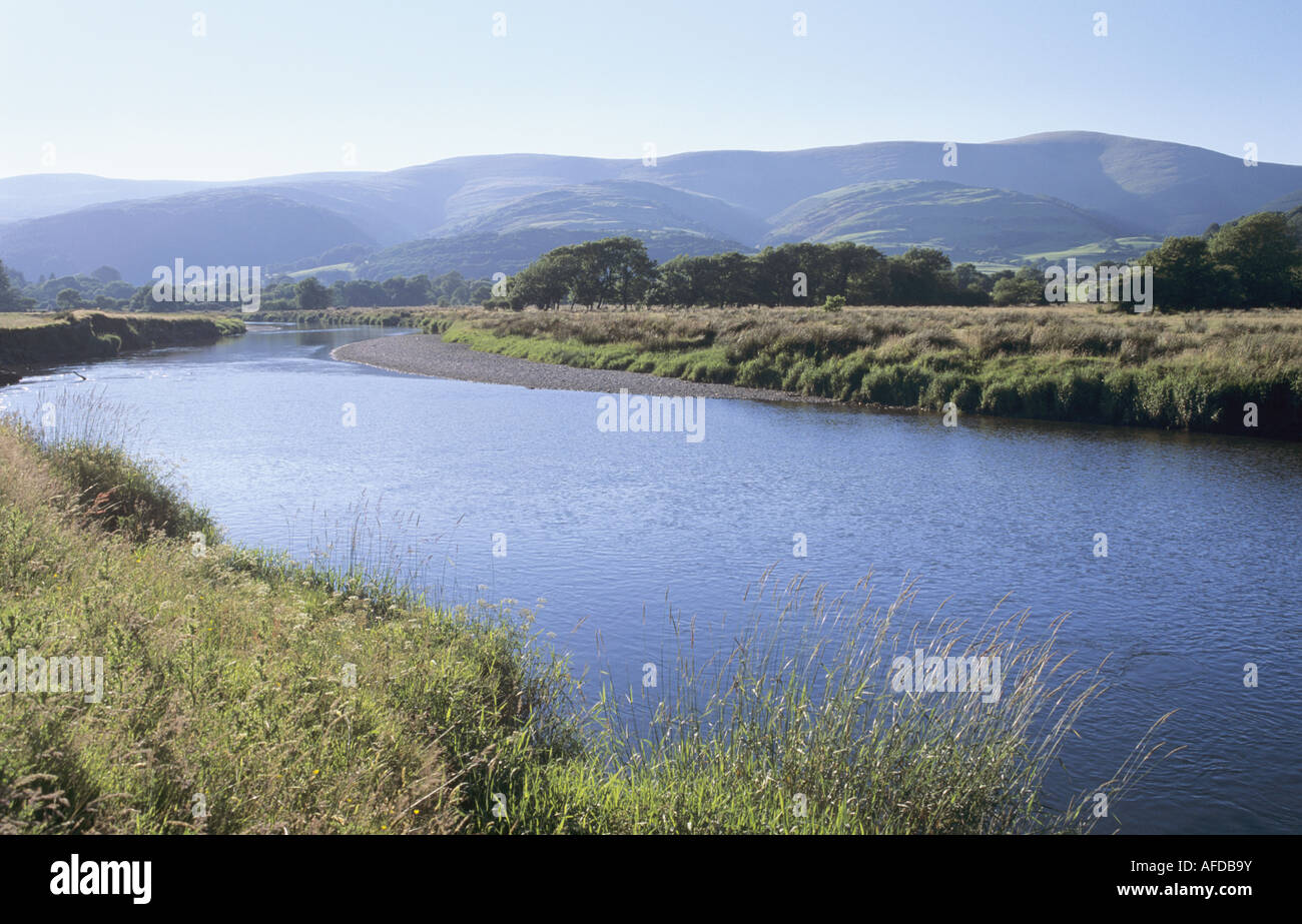 Afon Dyfi or River Dovey near Derwenlas, Machynlleth Stock Photo