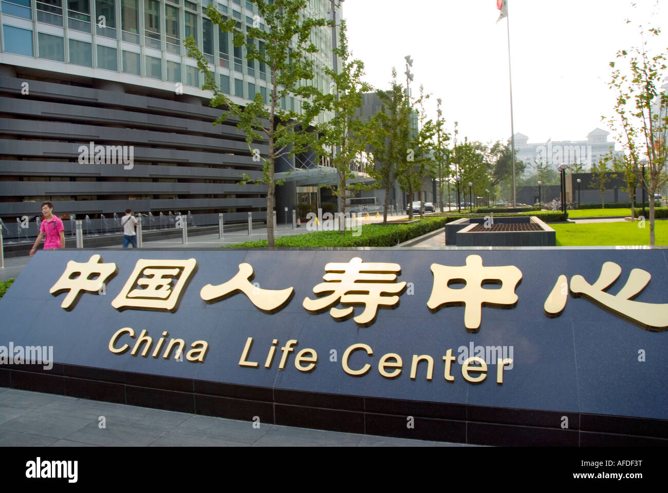 北京人寿投资收益率波动原因分析