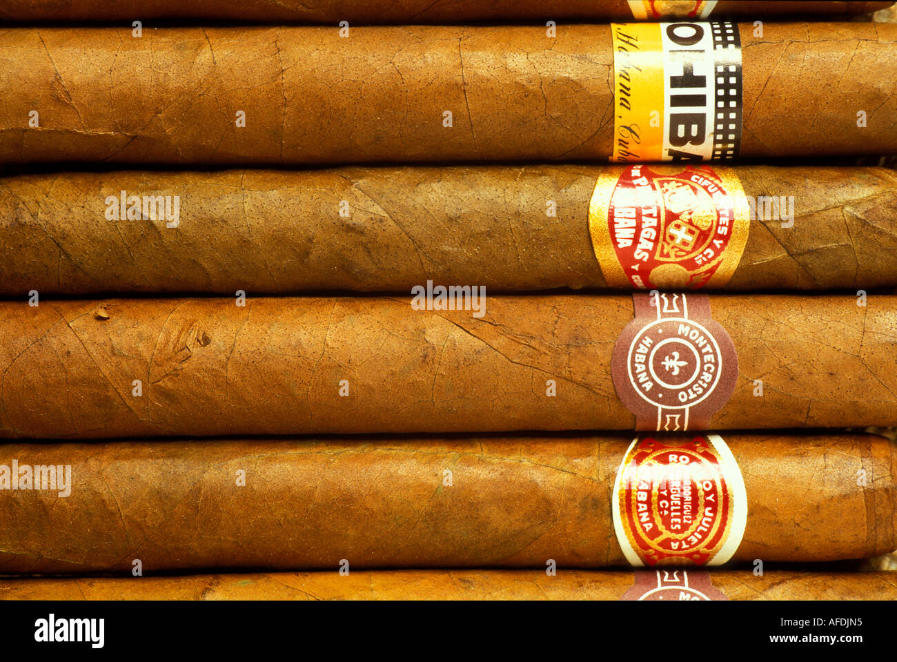 Cubanische Zigarren, Cuba, Caribbean Stock Photo