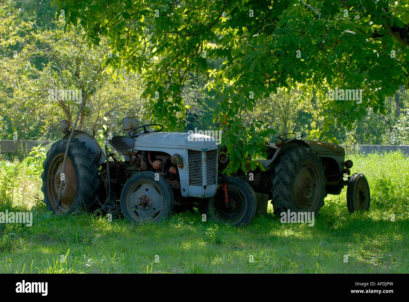 Two old tractors under Walnut trees, Indre, France Stock Photo - Alamy