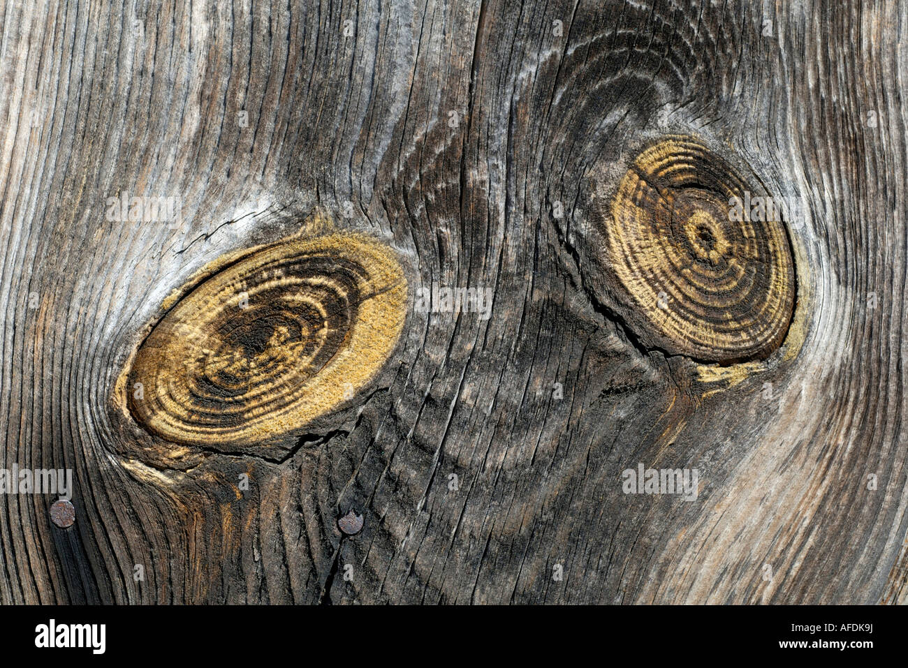 Knot in cut timber Stock Photo Alamy