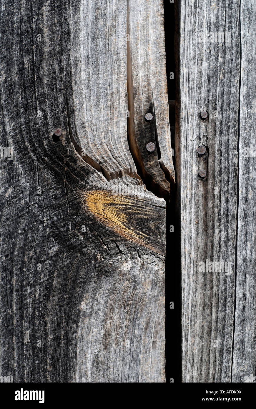 Knot in cut timber Stock Photo Alamy