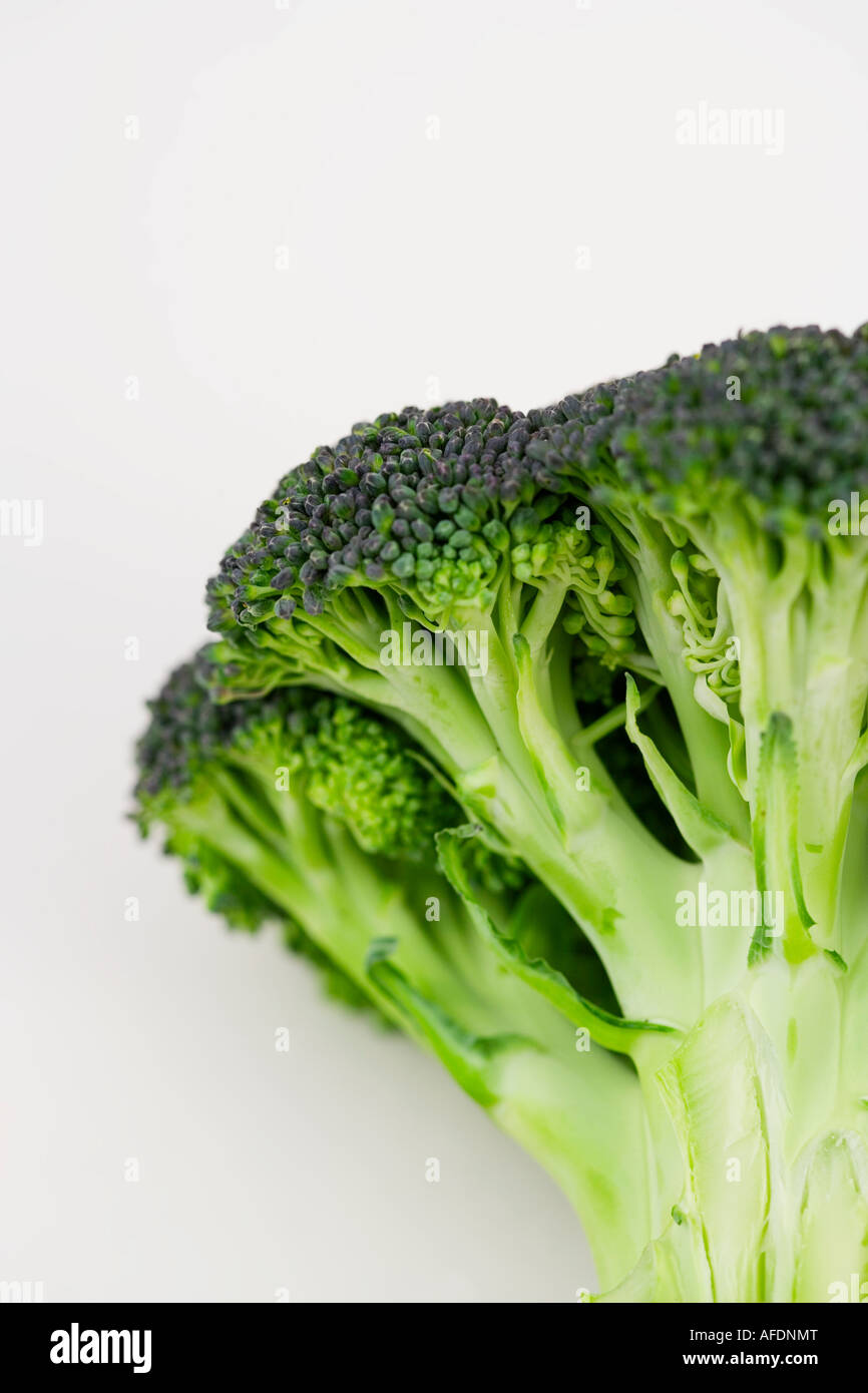 florets Broccoli vegetables fresh organic healthy Stock Photo Alamy