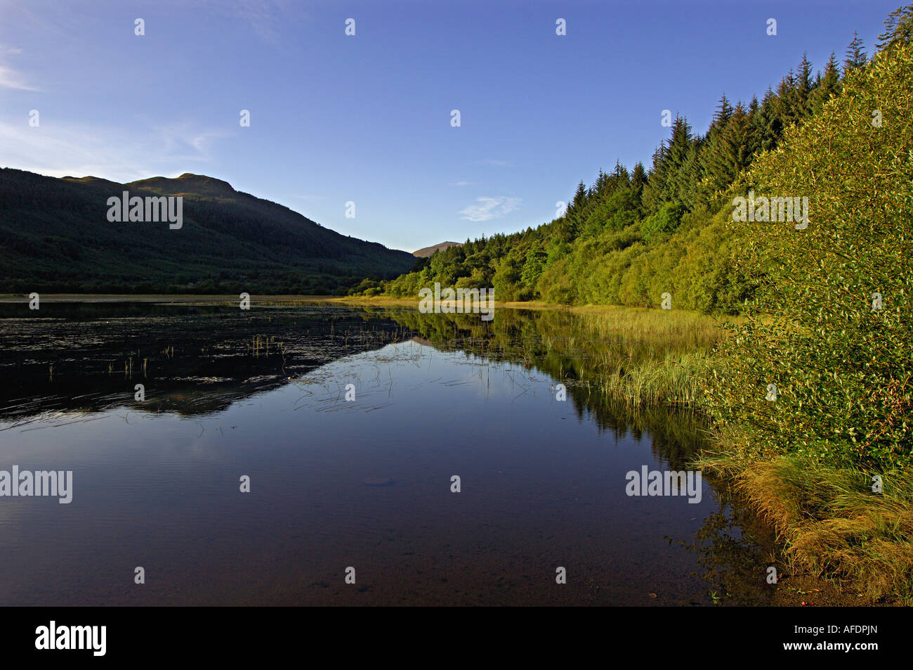 Summer afternoon on Loch Lubnaig Balquhidder with densely wooded shores and distant hills western Scotland UK Stock Photo