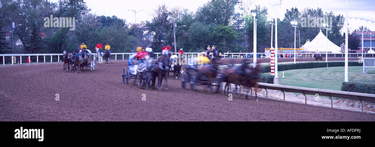 A Chuckwagon Race at the Calgary Stampede Rodeo in the City of Calgary in Alberta Canada Stock Photo
