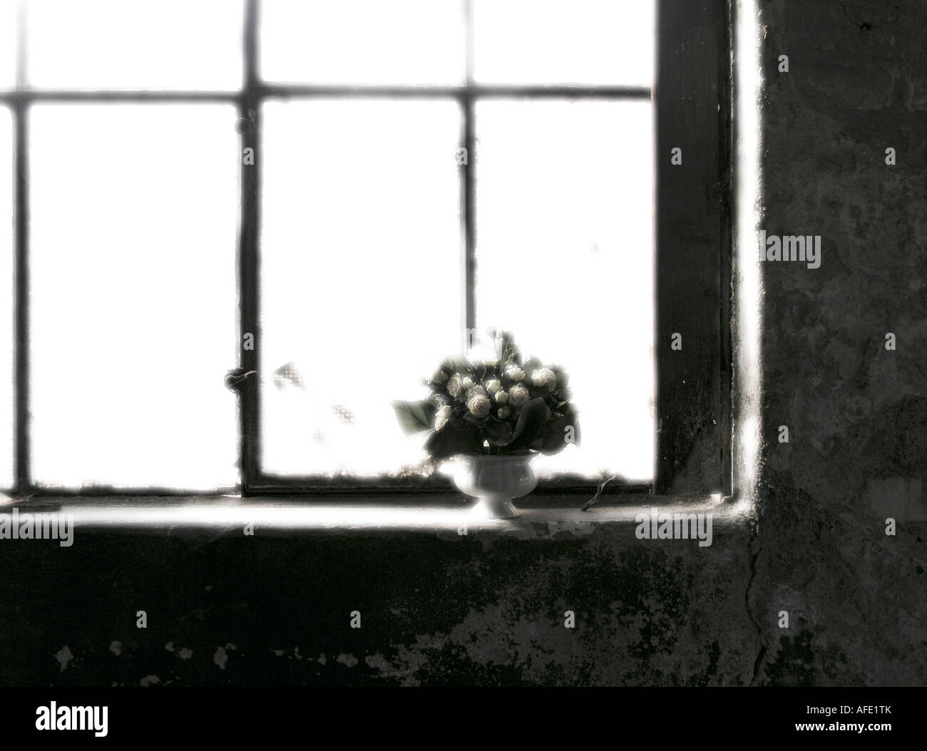Bunch of flowers on window sill Stock Photo - Alamy