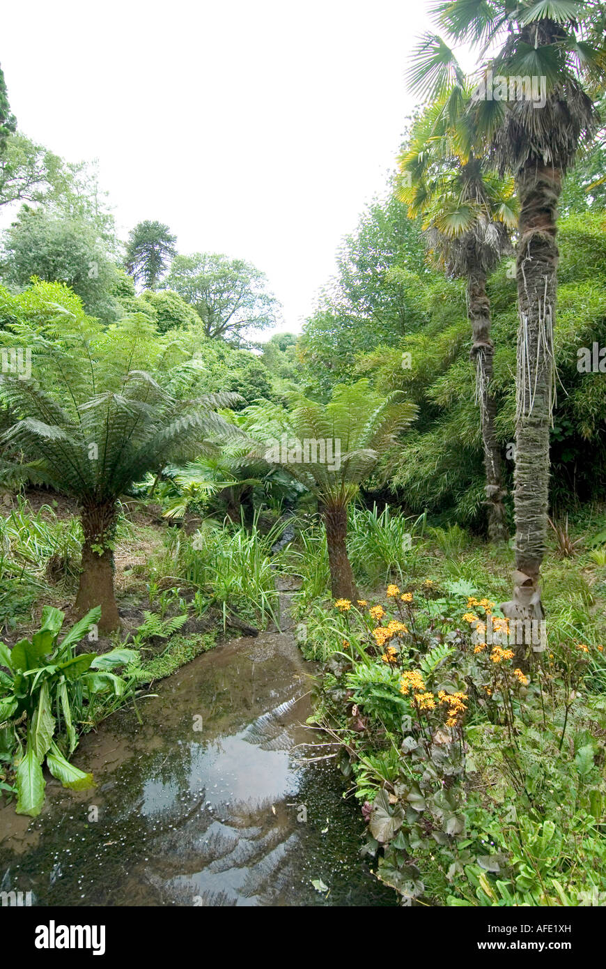 Cornwall Lost Gardens of Heligan England Stock Photo