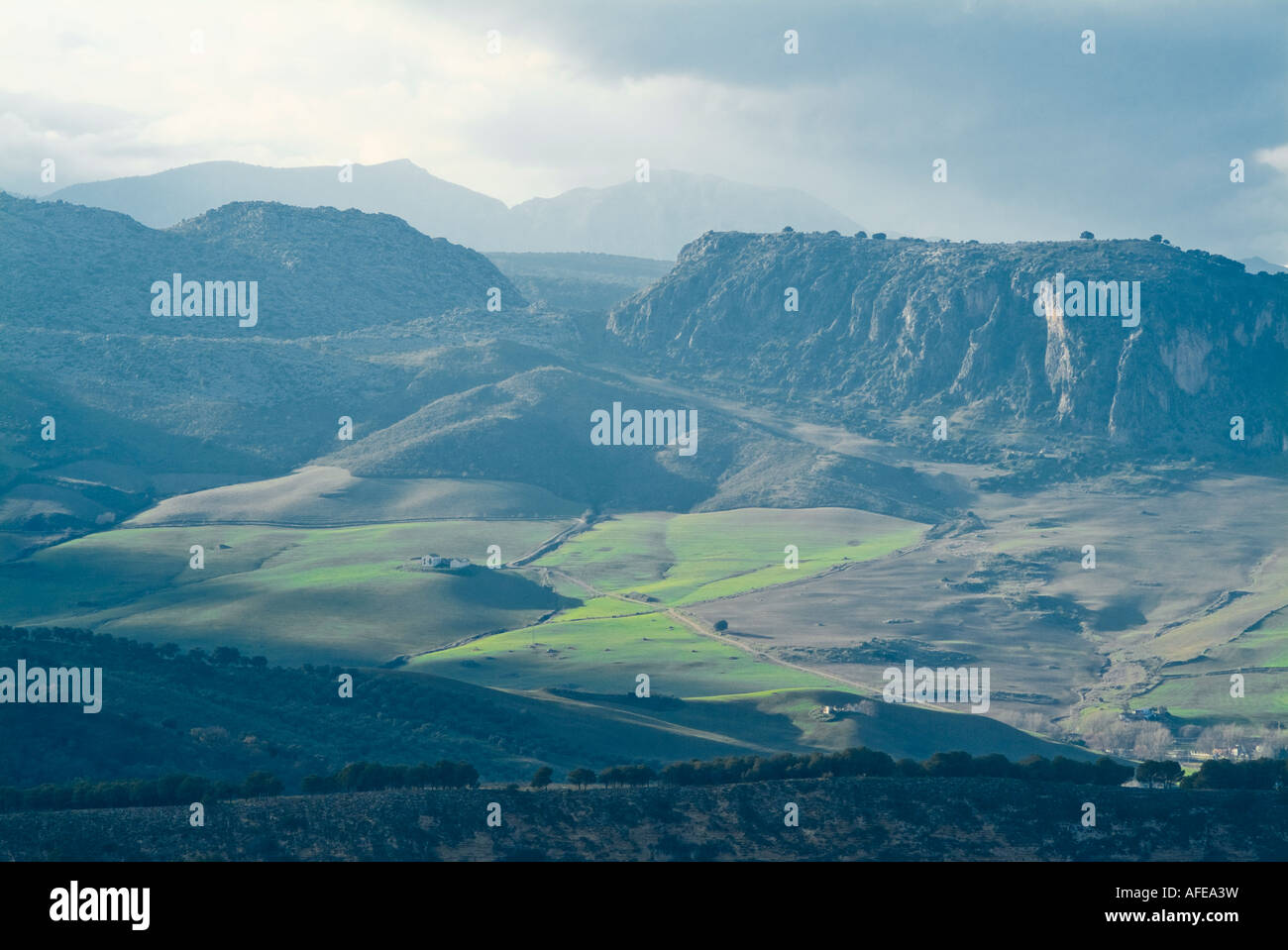 Scenery in countryside around Ronda Andalusia Spain Stock Photo