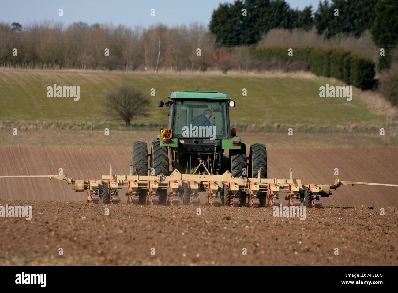 Tractor sowing sugar beet seed in Suffolk Stock Photo Alamy