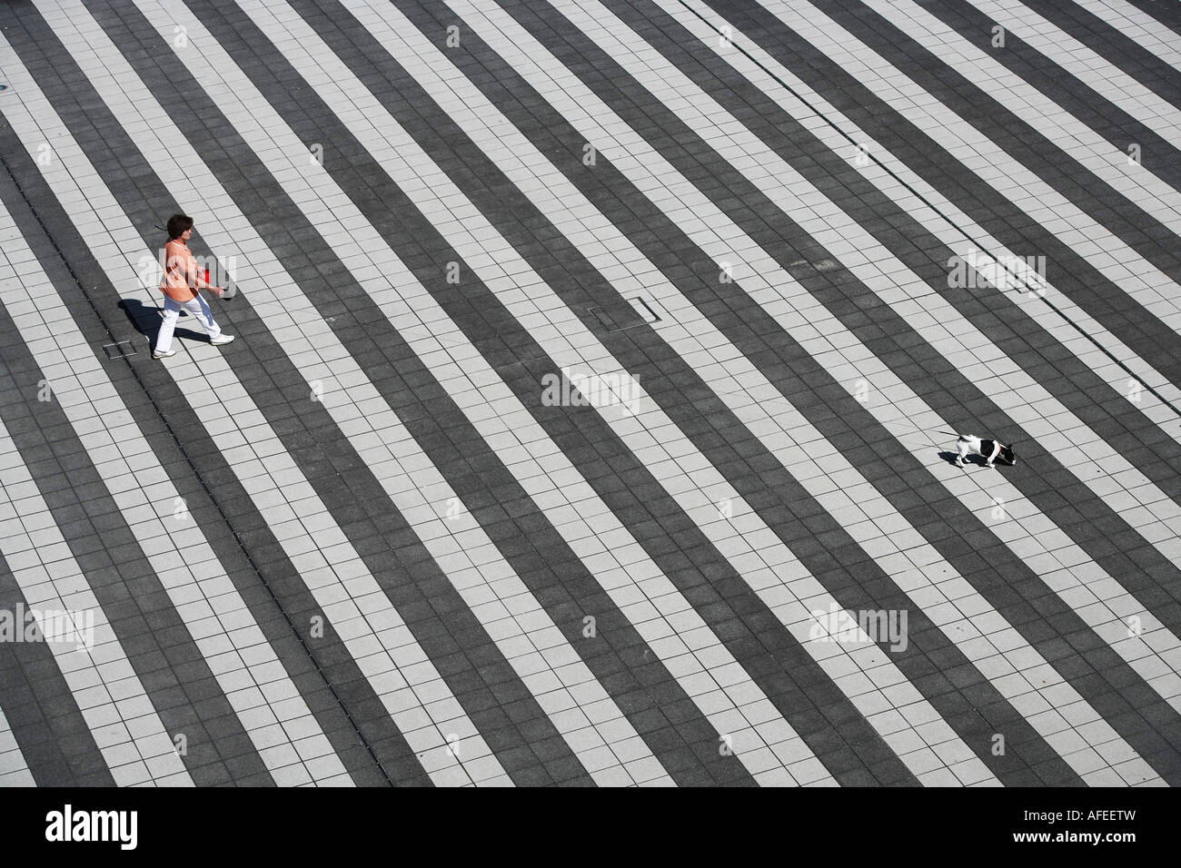 Lonesome woman is walking her dog over a crosswalk at Munich Airport,Frau mit Hund geht ueber einen grossen Zebrastreifen, Stock Photo