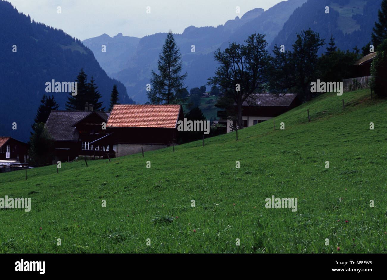 Oberland - a view from Grindelwald - Switzerland Alps summer holiday Stock Photo