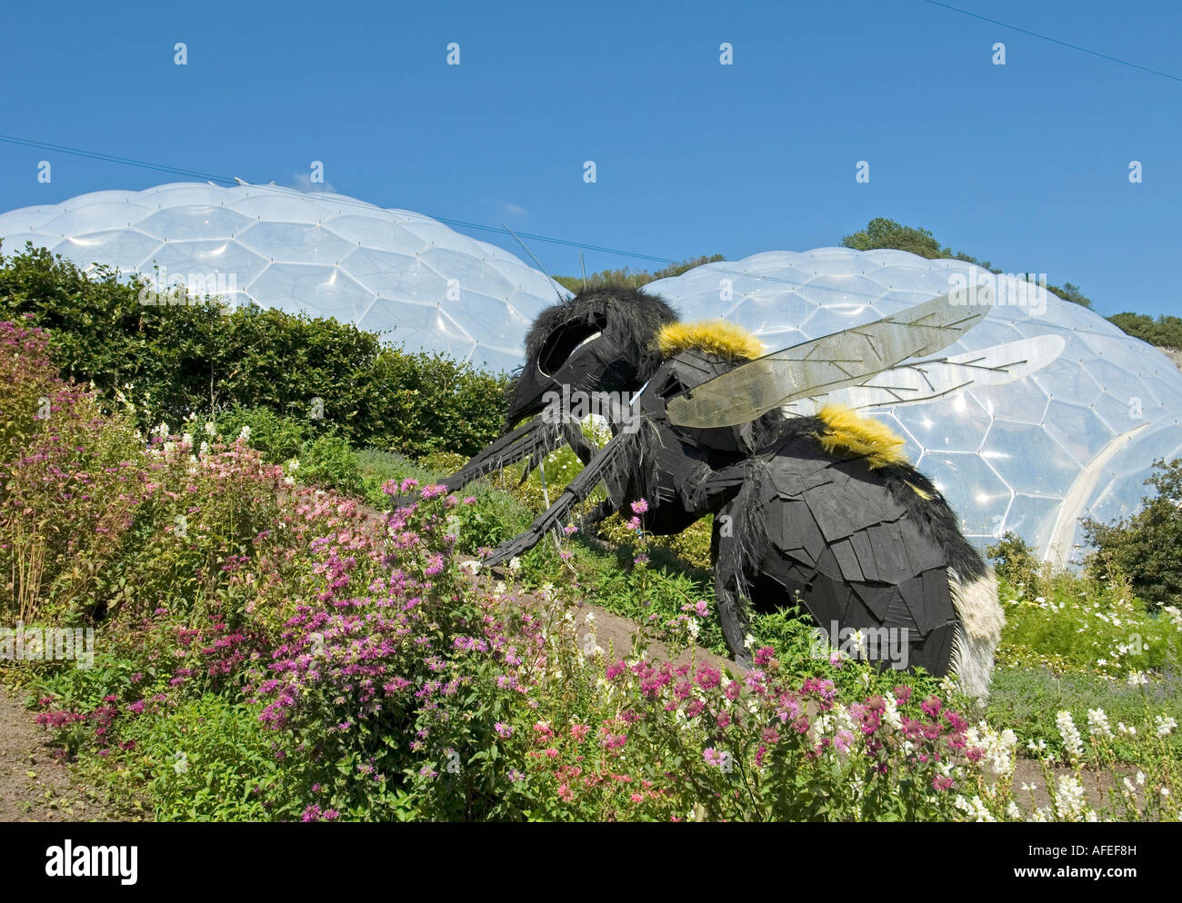 Eden Project Cornwall Stock Photo