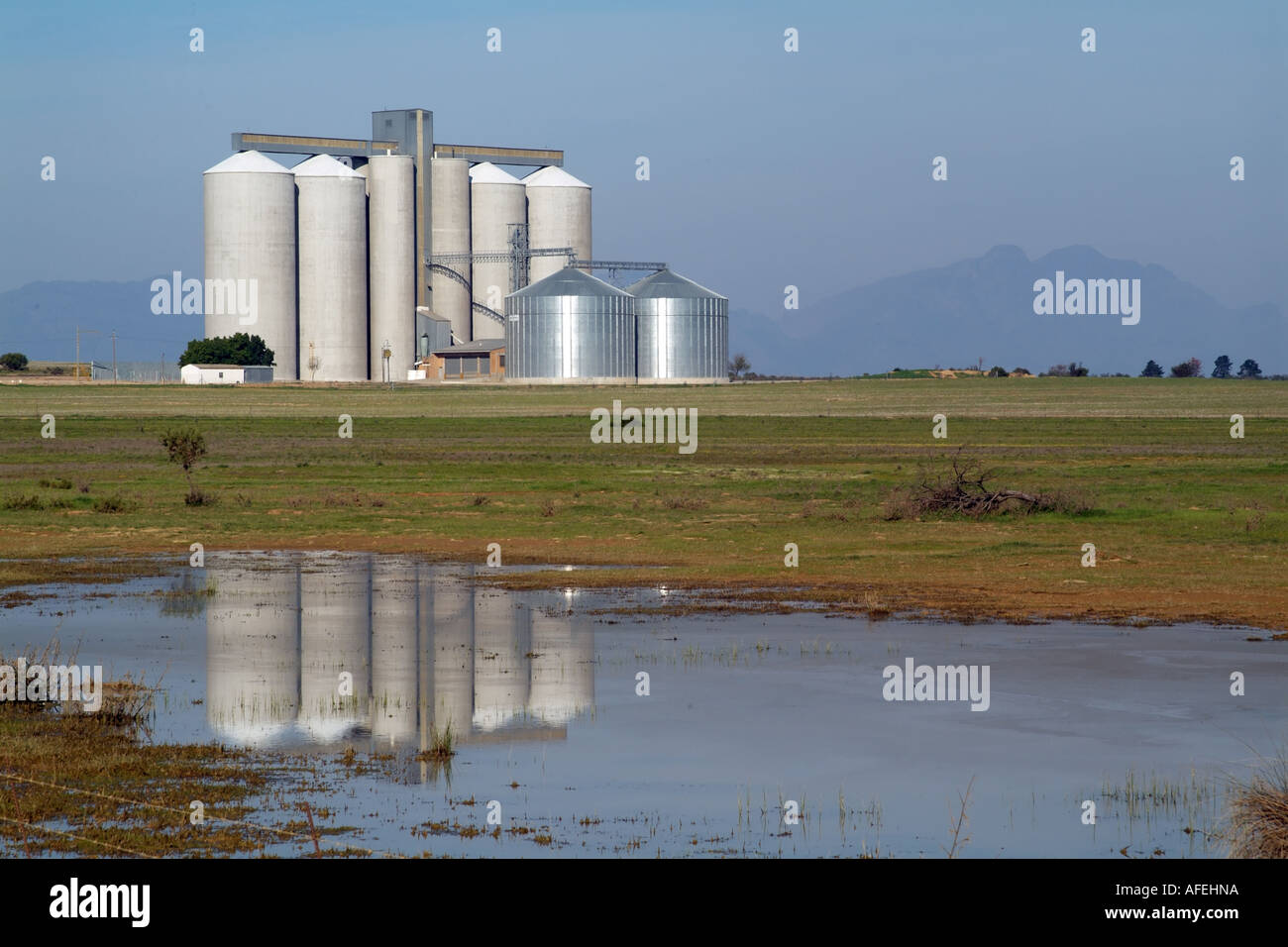 MKB company silos in Leidam near Malmesbury Western Cape South Africa RSA Stock Photo Alamy