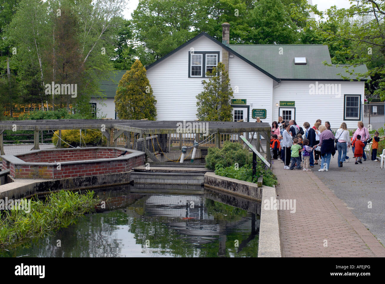 Cold Spring Harbor Fish Hatchery on Long Island Trout are raised in