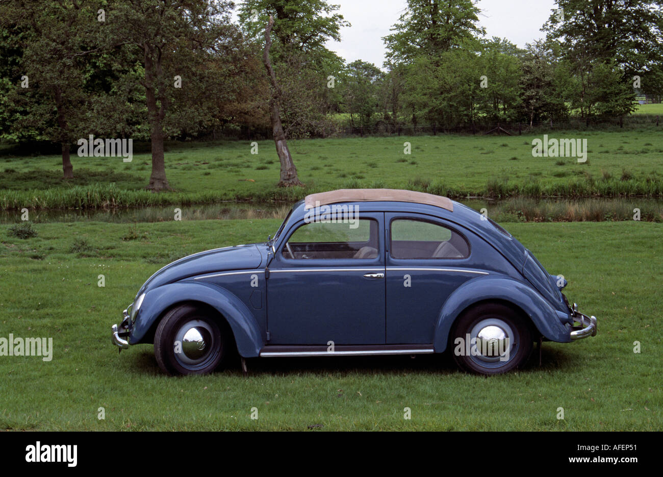 VW Volkswagen Beetle of 1951 Stock Photo