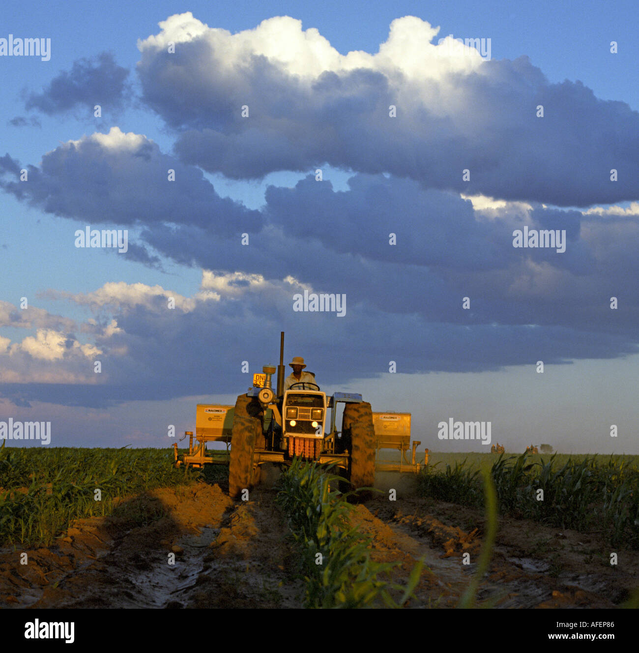 Agriculture South Africa Stock Photo - Alamy