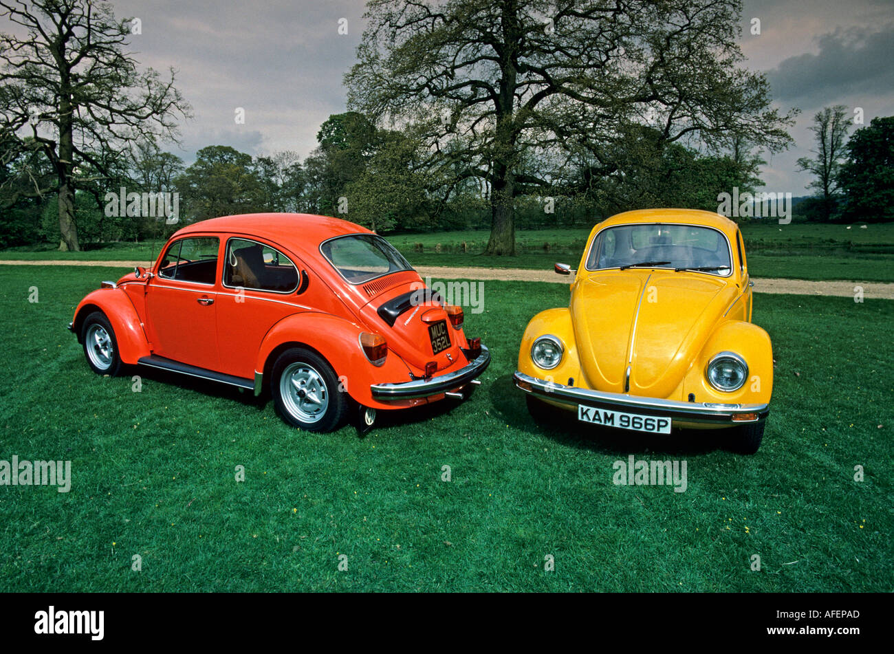 VW Volkswagen Beetles Stock Photo