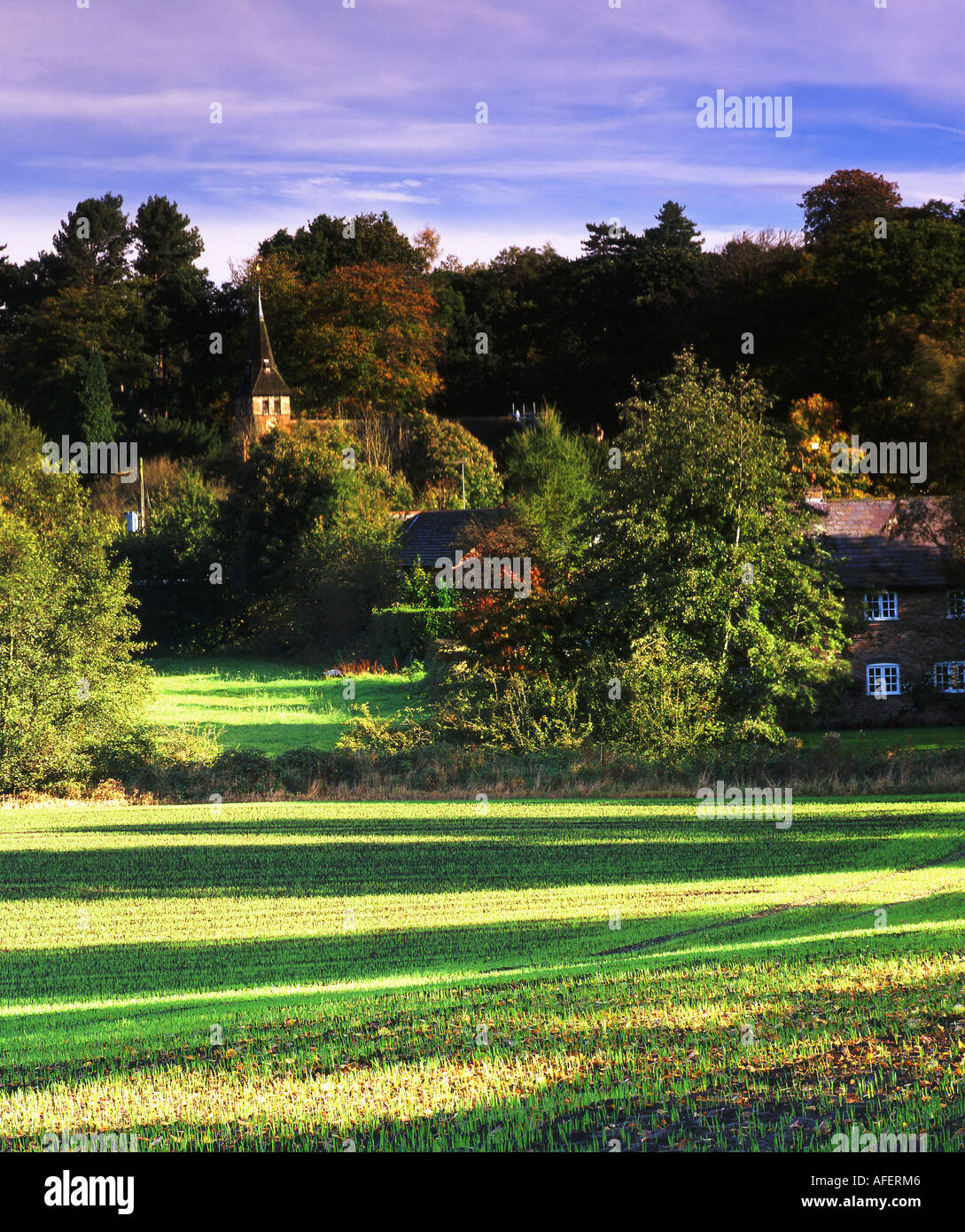 Village of Whitegate in Autumn Whitegate Cheshire England UK Stock Photo