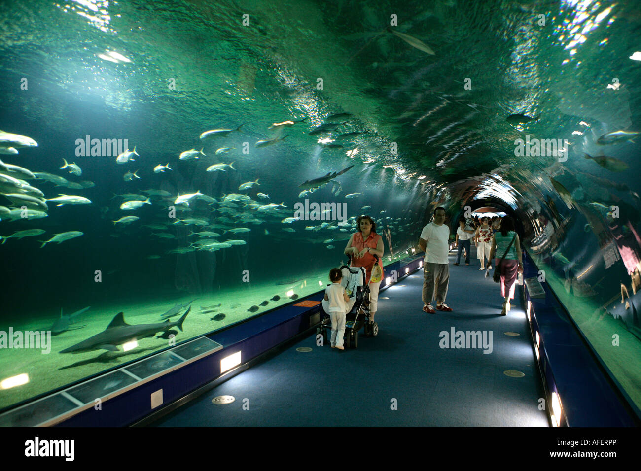 People looking at Aquarium tunnel of Fish in sea Life Centre Stock Photo