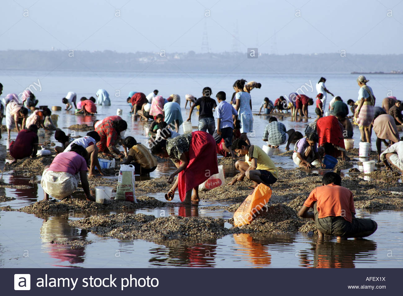 Goans High Resolution Stock Photography and Images - Alamy