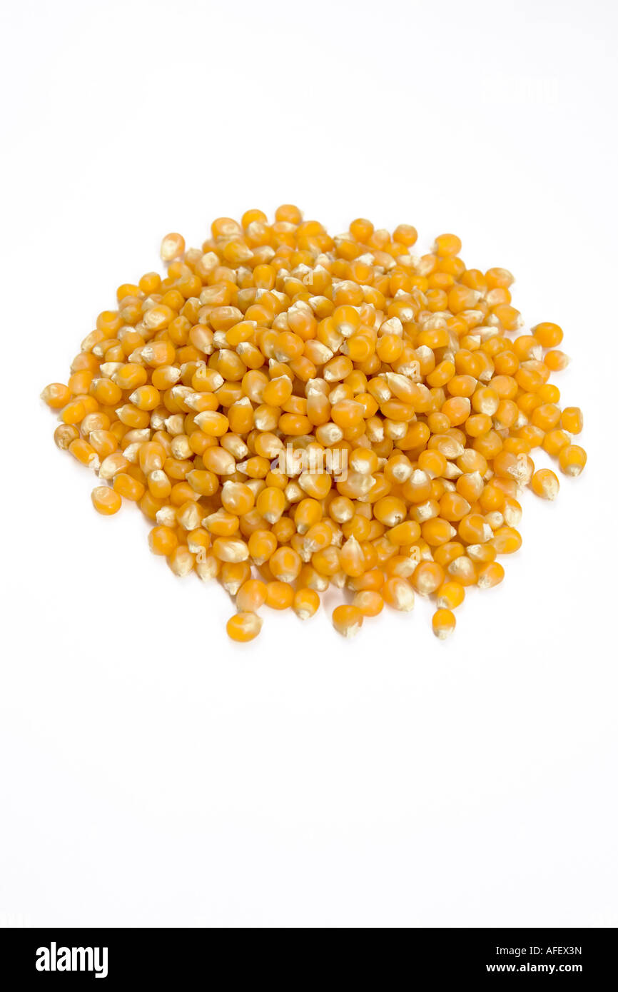 Popping corn Stock Photo