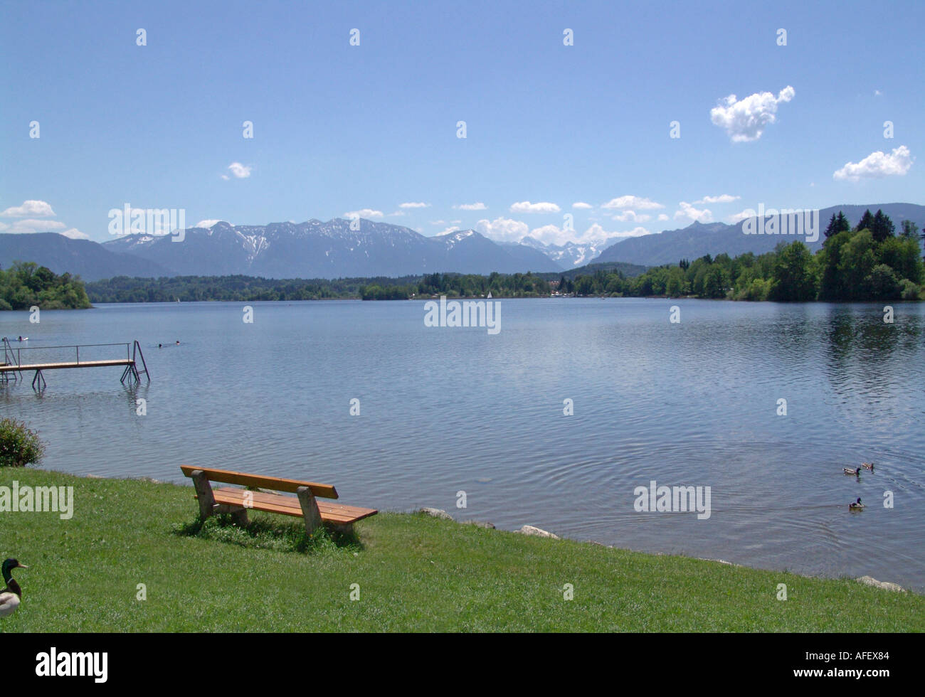 Staffelsee bei Bad Kohlgrub in den Ammergauer Alpen Stock Photo