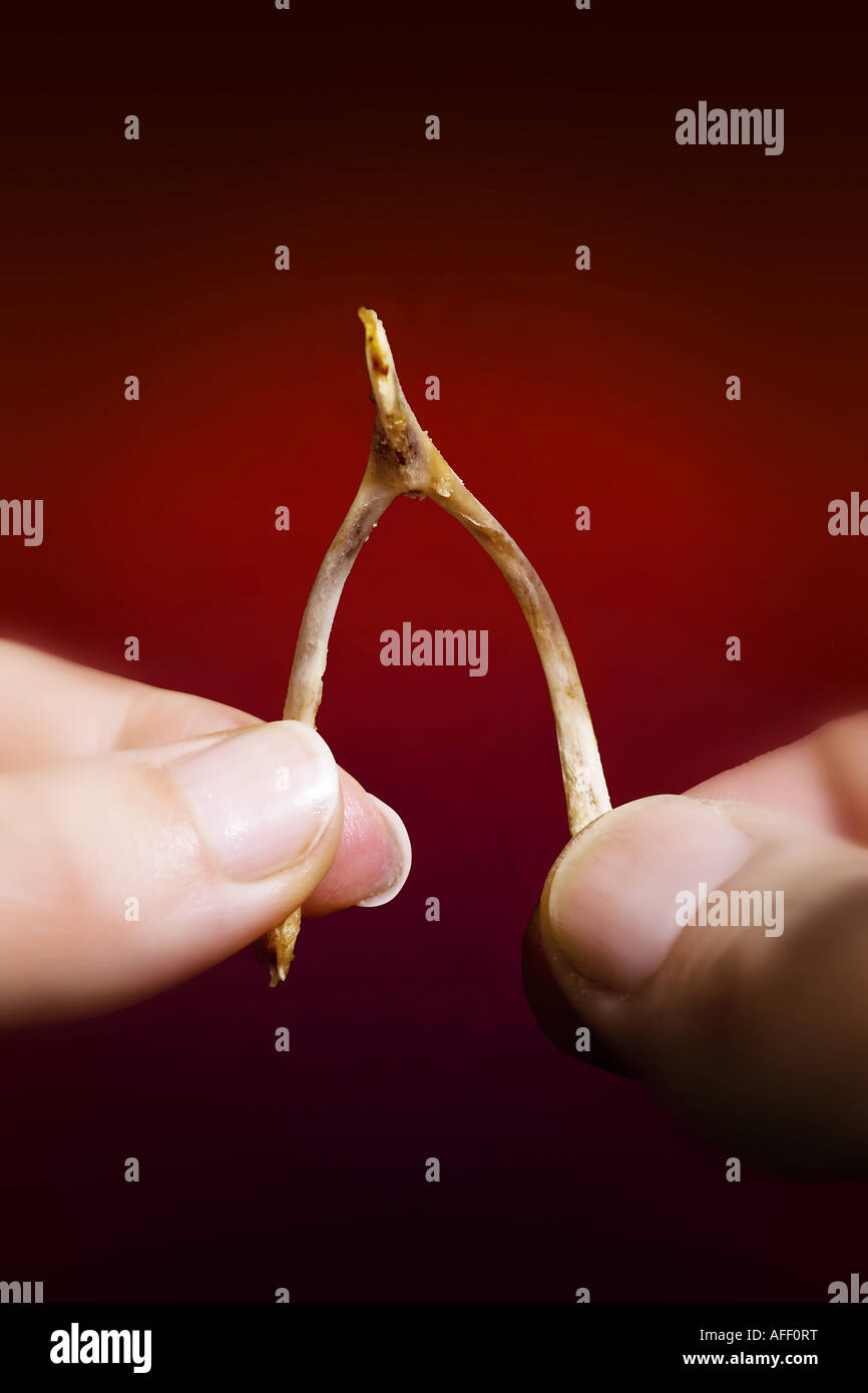 Wish bone concept Stock Photo Alamy