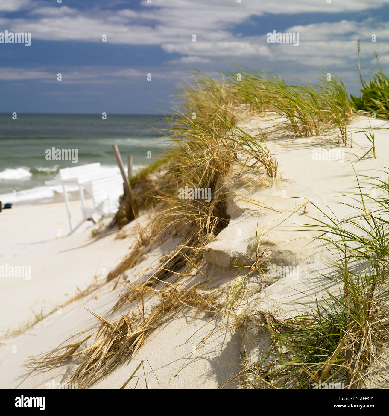 a sand dune at the beach Stock Photo - Alamy