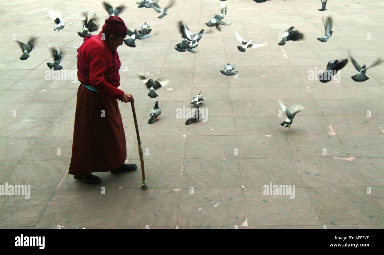 An old Tibetan monk walks in the square of the Rumtek monastery, Sikkim, India. At the time it was the home to the 17th Karmapa. Stock Photo