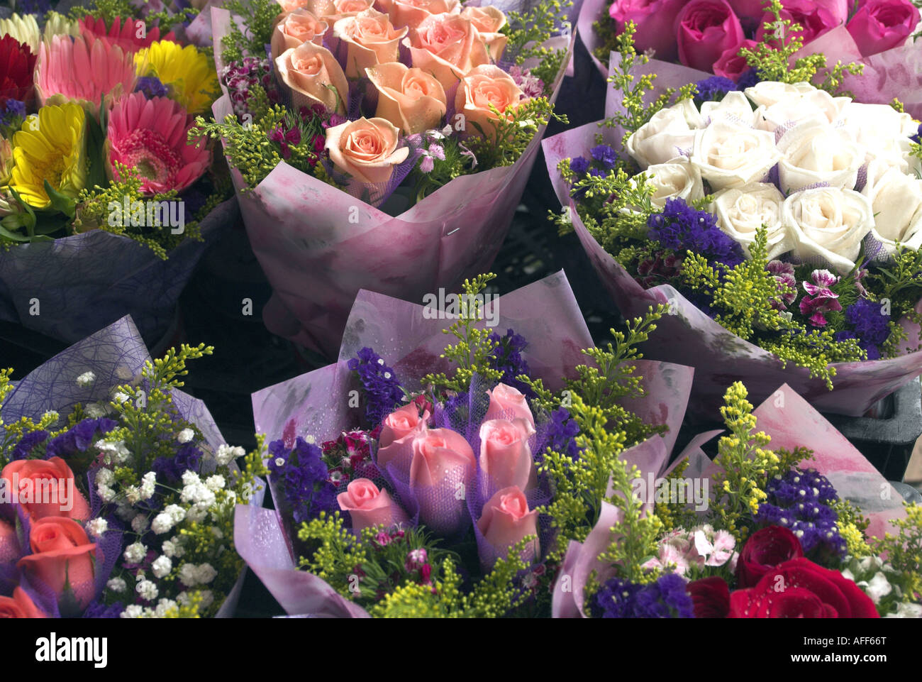 Cut flowers for sale, Flower Market, Mong Kok, Hong Kong Stock Photo ...