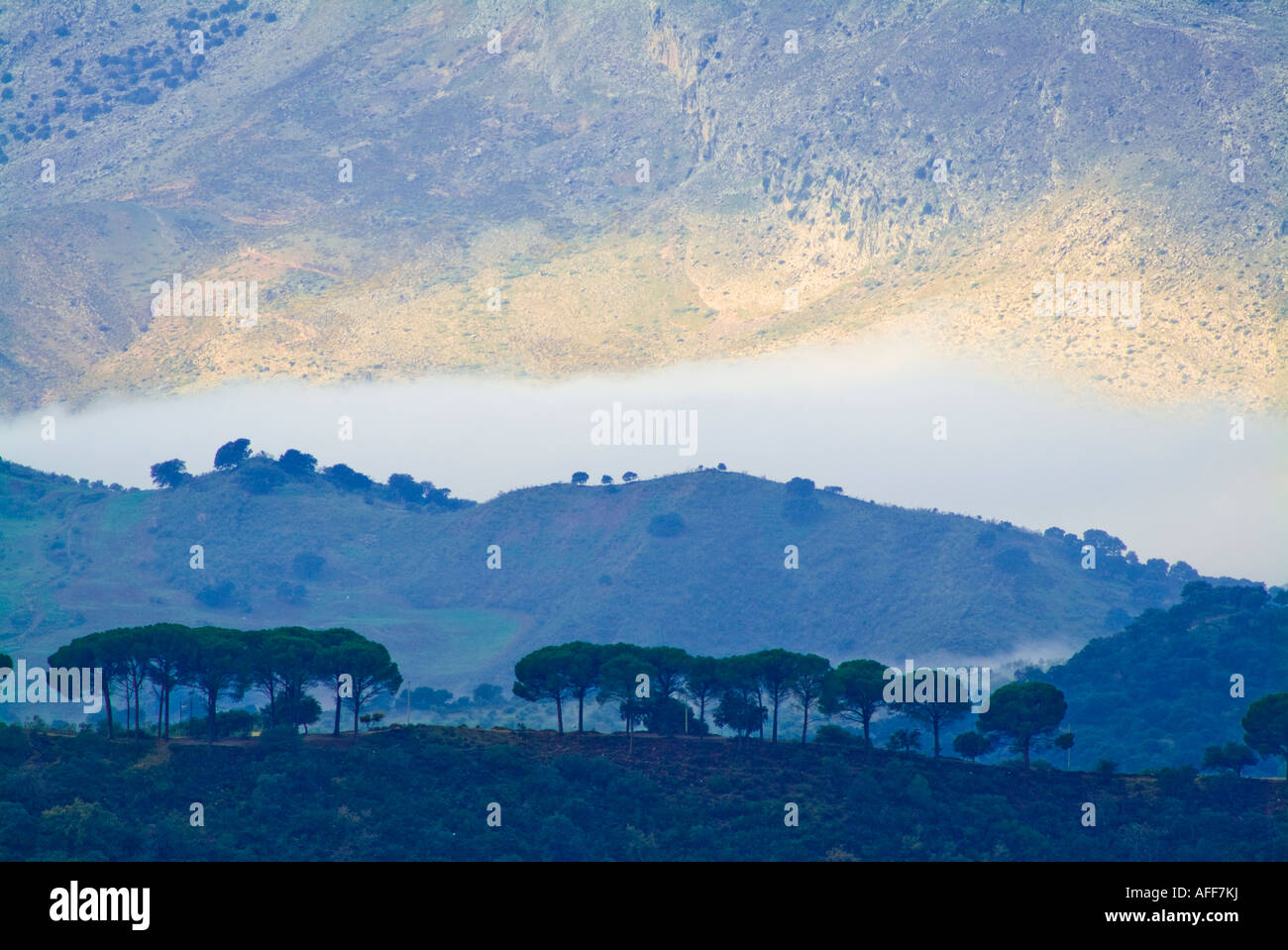 Scenery in countryside around Ronda Andalusia Spain Stock Photo
