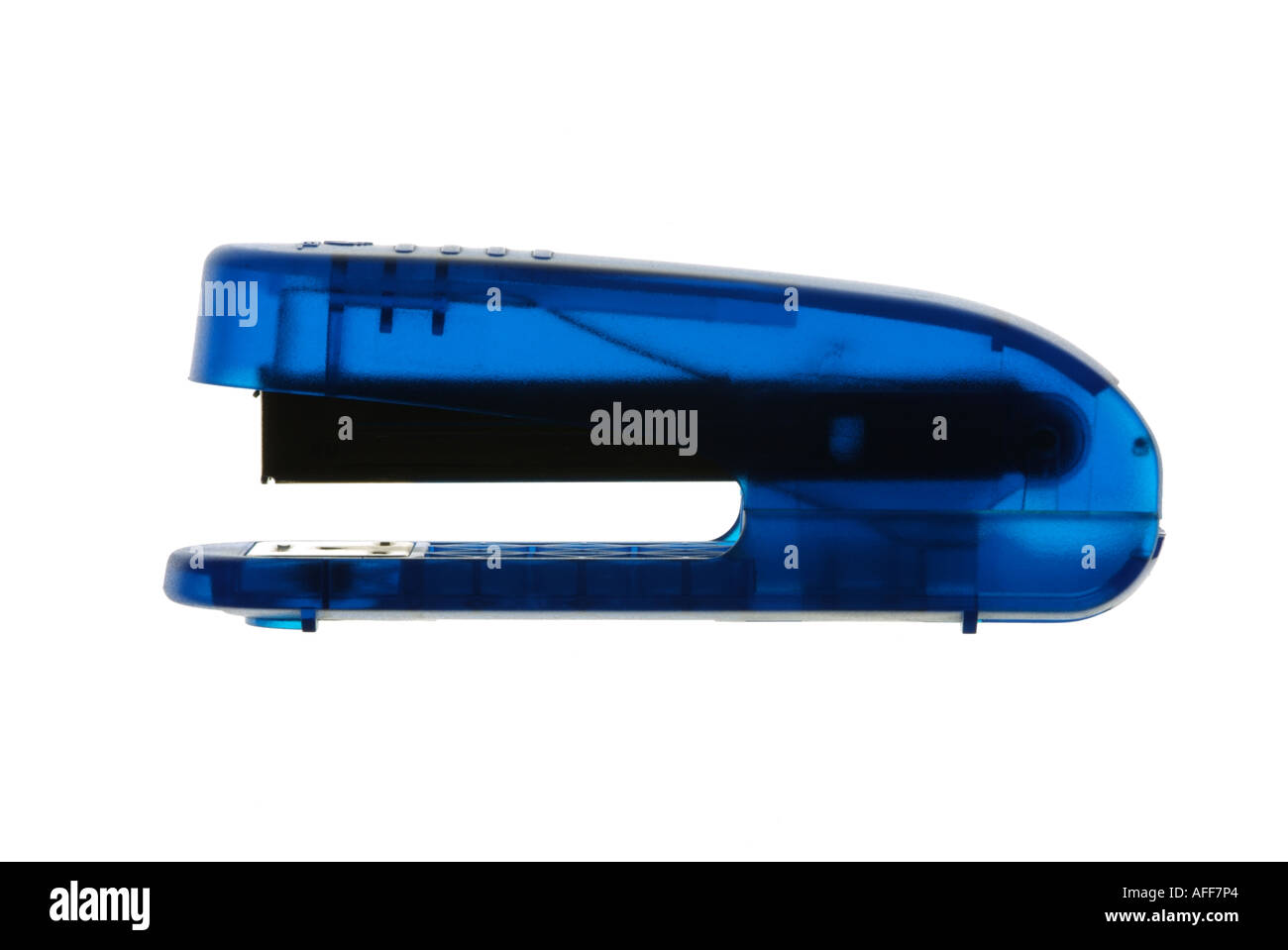 Blue paper stapler against a white background Stock Photo