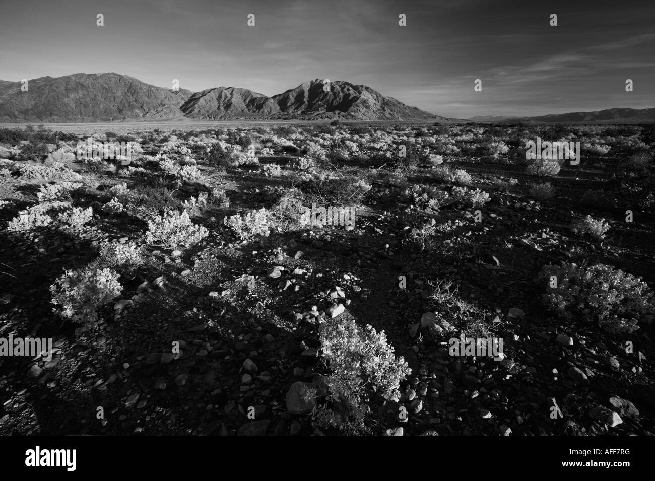 Death Valley National Park Stock Photo Alamy
