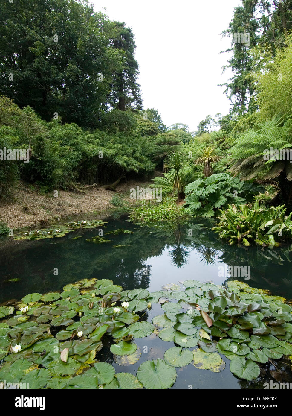Cornwall Lost Gardens of Heligan England Stock Photo