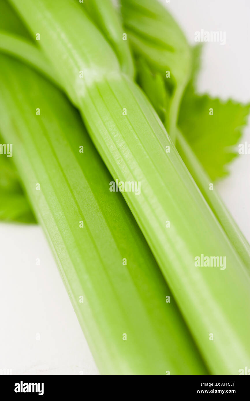 Studio shot of Celery on a white background Stock Photo