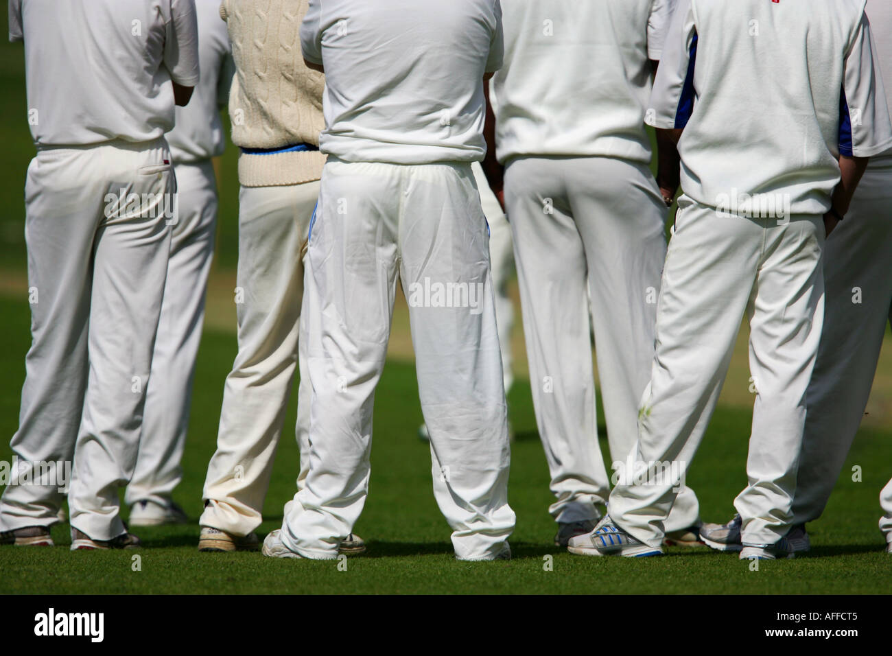 Cricket players rear end legs and butt view Stock Photo Alamy