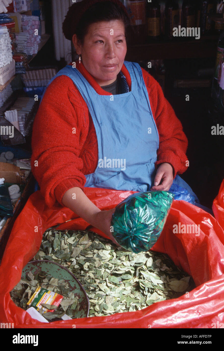 Coca leaves Potosi, Potosi, BOLIVIA Stock Photo Alamy