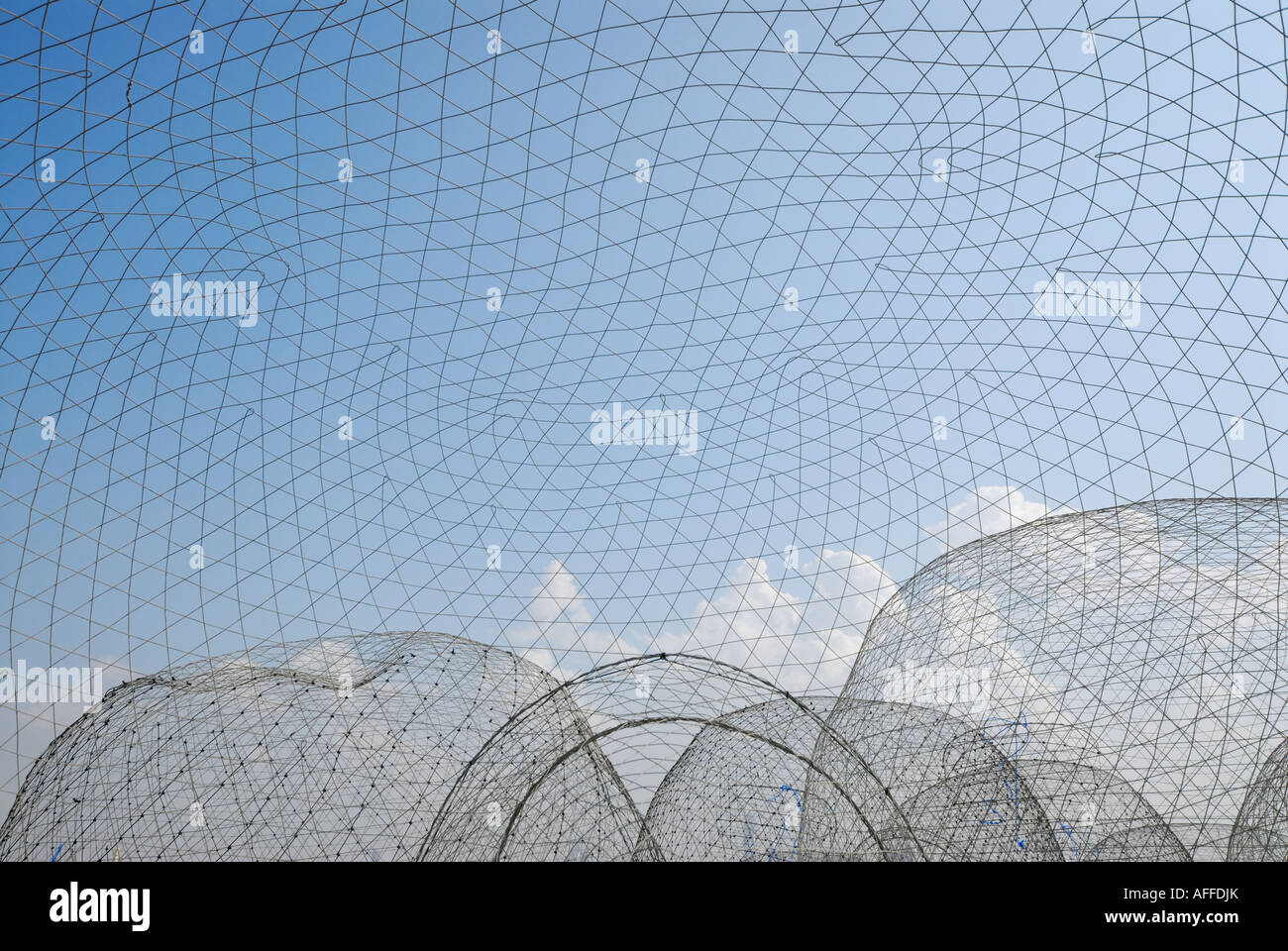 cages for catching crab and fish, Dubai, United Arab Emirates Stock Photo