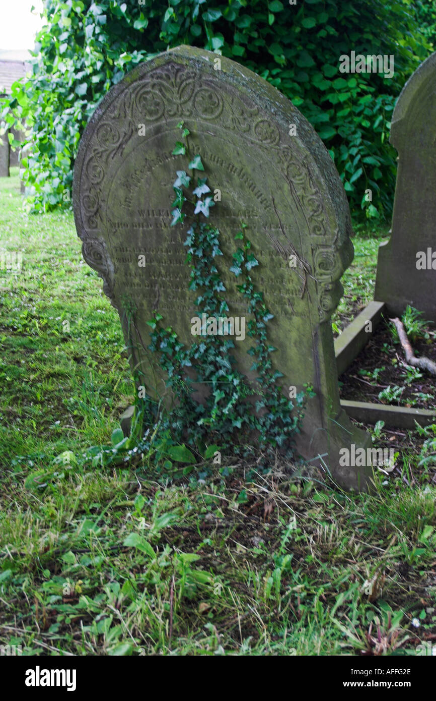 A gravestone with Ivy growing up it. Eyam, Derbyshire, United Kingdom. Stock Photo