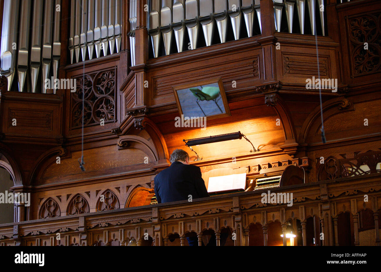 Organist in the church Thomaskirche Stock Photo