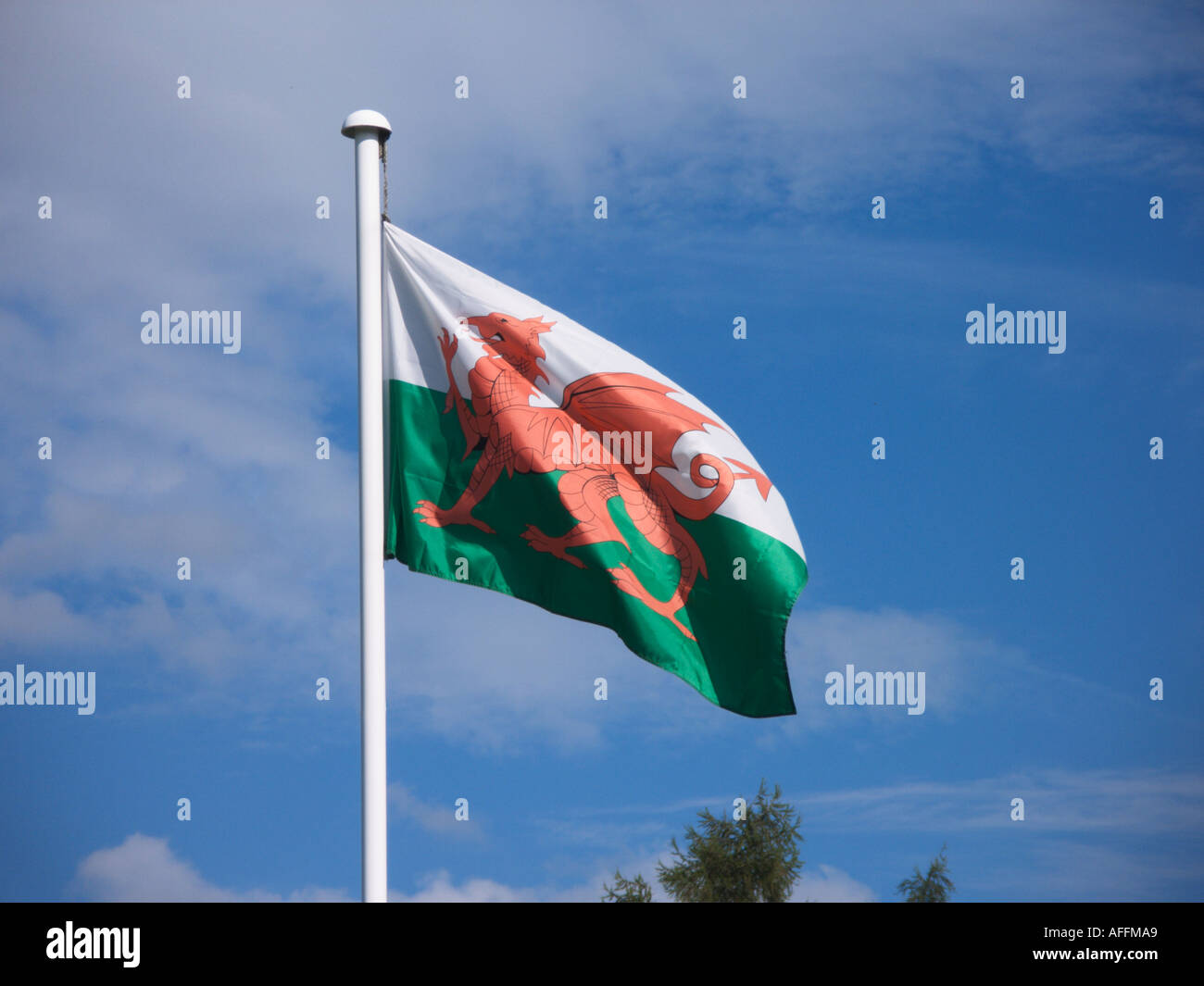 Welsh Flag Stock Photos & Welsh Flag Stock Images - Alamy