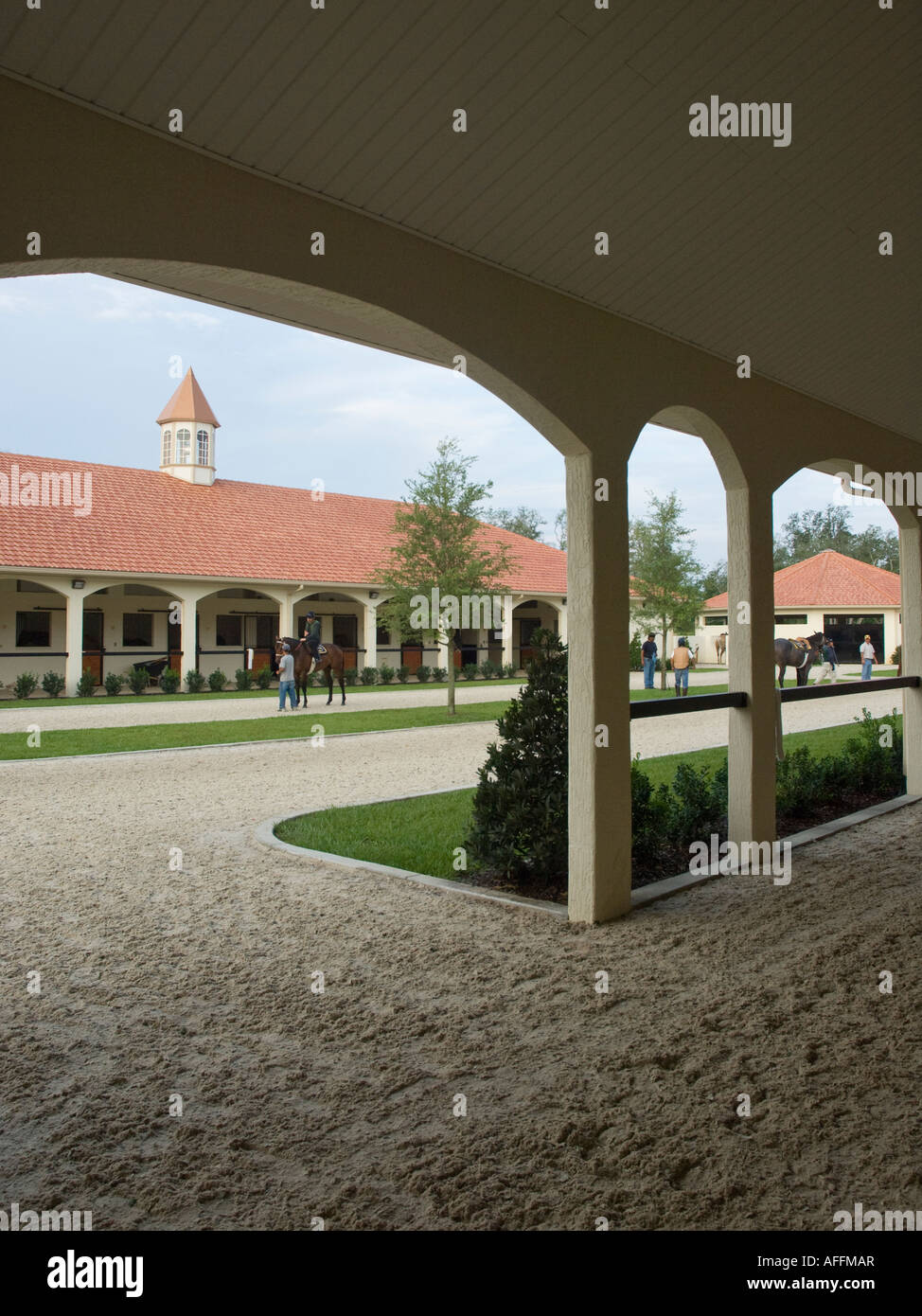 Thoroughbred Horse training center barn, Gold Mark, Ocala, FL Stock