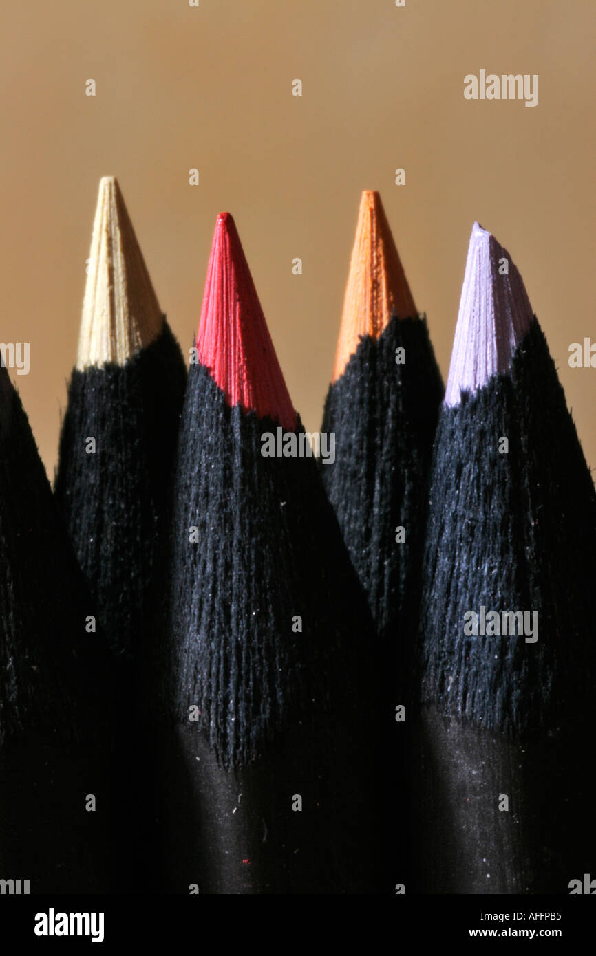 crayon  Stock Photo