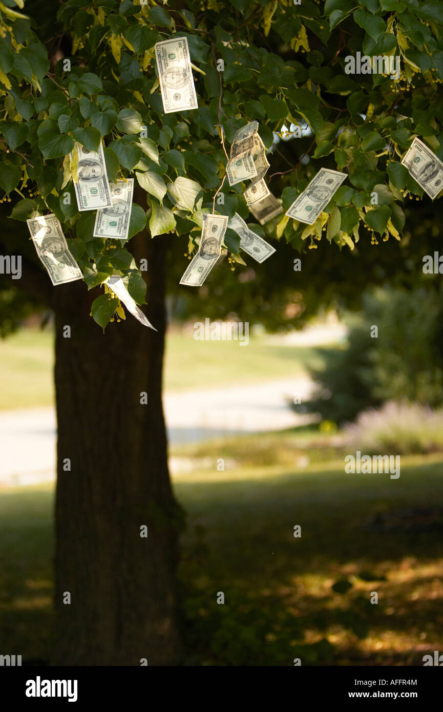 Money doesn t grow on trees hi-res stock photography and images - Alamy