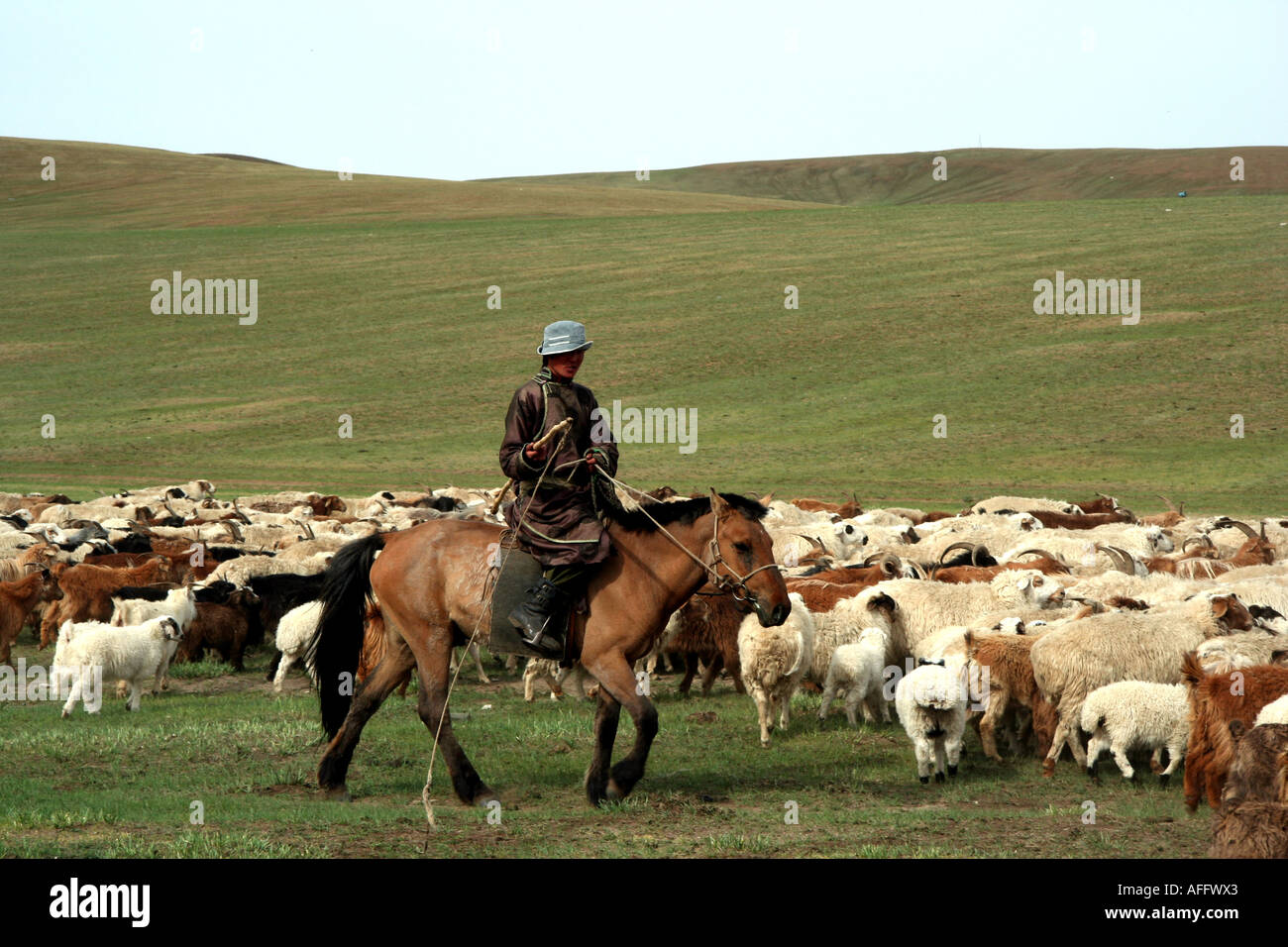 Mongolian Nomad Horseman Stock Photo - Alamy