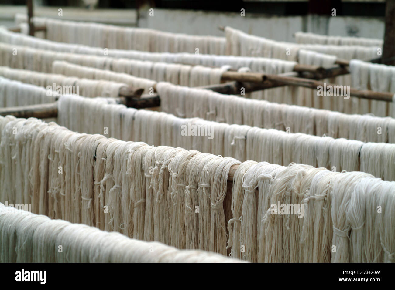 Strands of cotton being left out to dry in Burma. Stock Photo